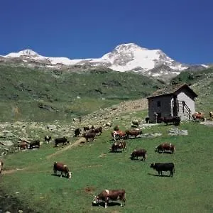 דירה Maison Du Bourg